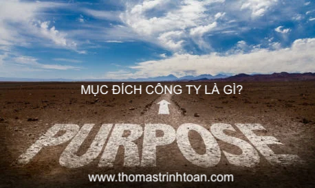 Mục đích công ty là gì