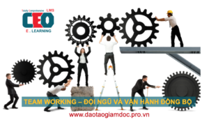 đội ngũ giúp phát triển kinh doanh bền vững