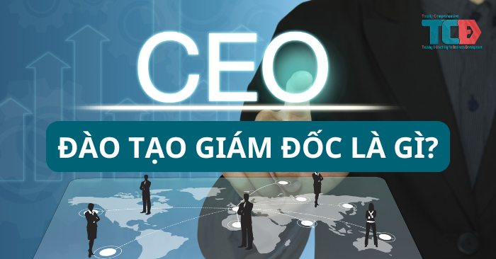 đào tạo giám đốc là gì?